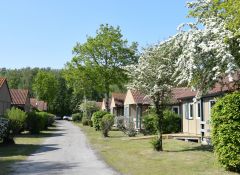 camping car passage oree du bois