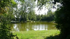 etang peche camping oree du bois rang du fliers